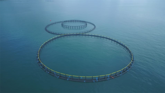 Soporte de HDPE para jaula de peces