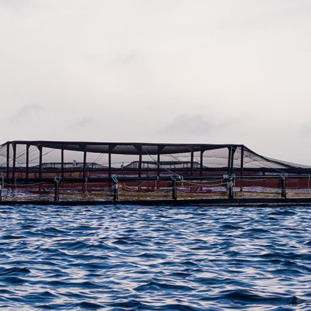 Ruedas de soporte de red para pájaros para jaula de peces para piscicultura de salmón