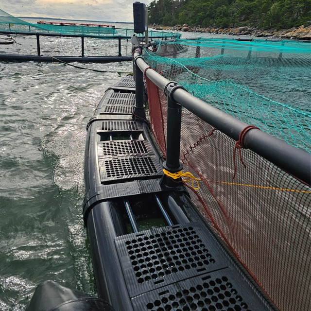 Jaulas para peces de acuicultura en mar abierto