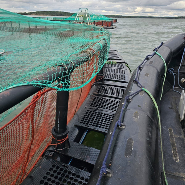 jaula de pl&aacute;stico para peces