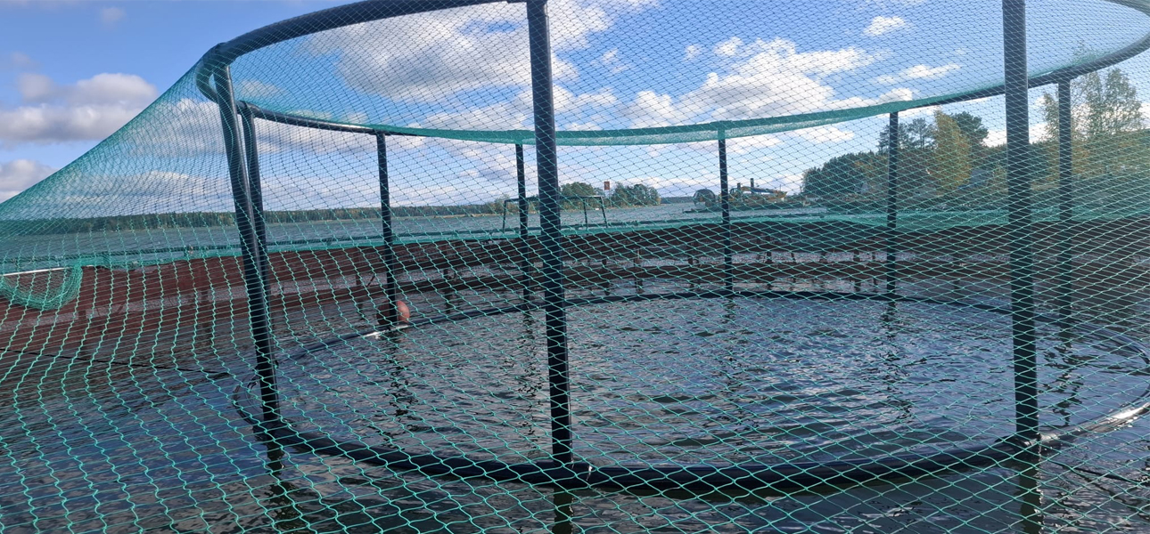 soportes de red para p&aacute;jaros hdpe