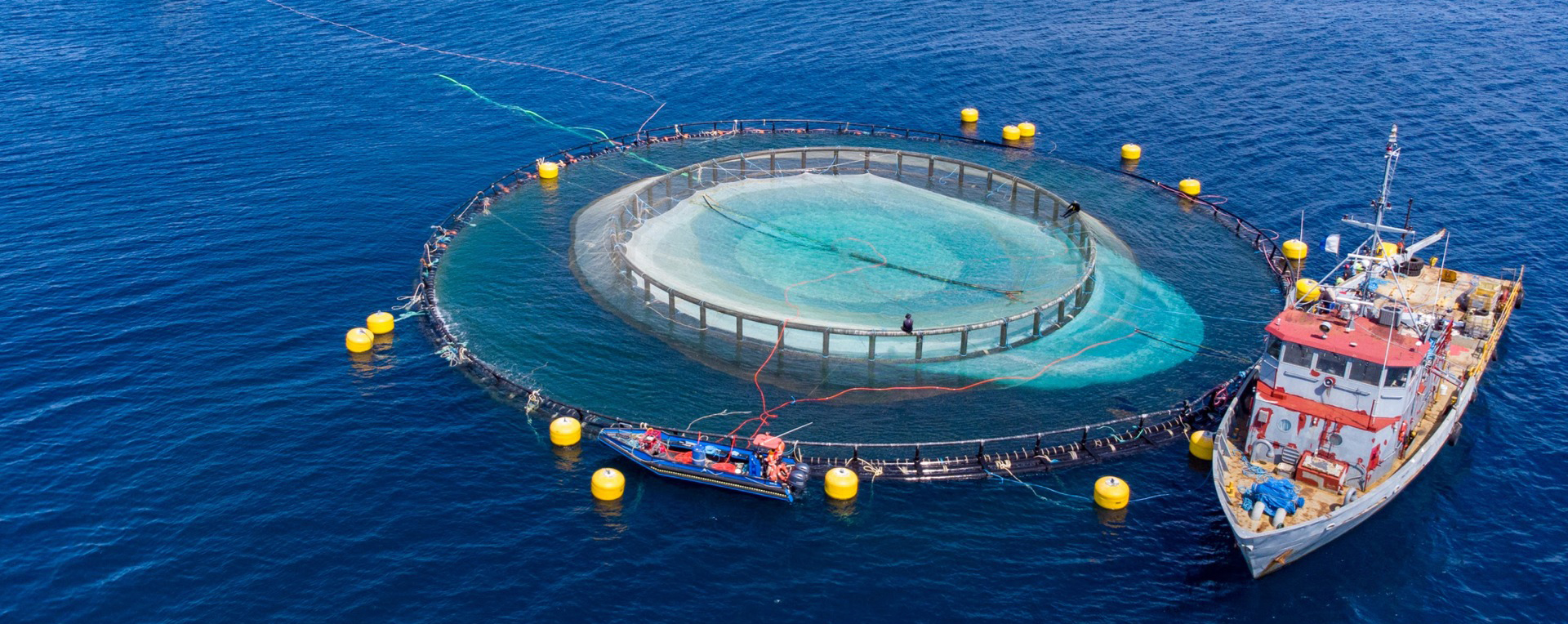 floating fish cage