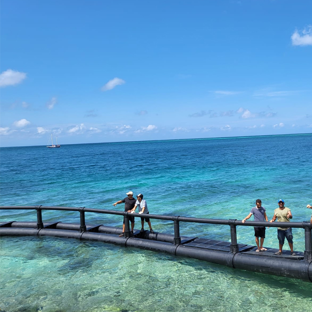 jaula para peces en alta mar