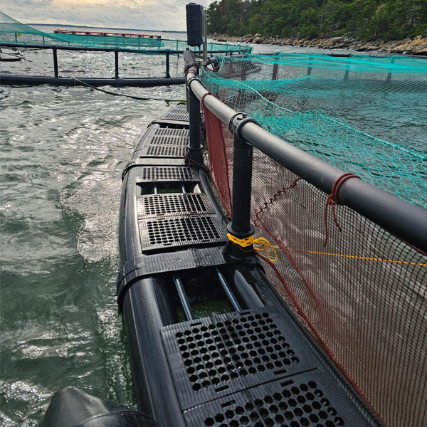 jaula circular para peces