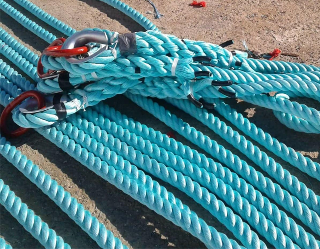 Guardacabos para cuerda de amarre con eslab&oacute;n maestro.