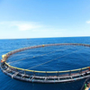 Jaulas para peces de acuicultura en mar abierto