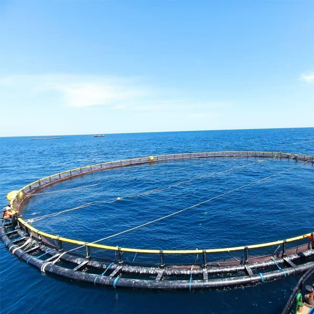 Jaulas para peces de acuicultura en mar abierto