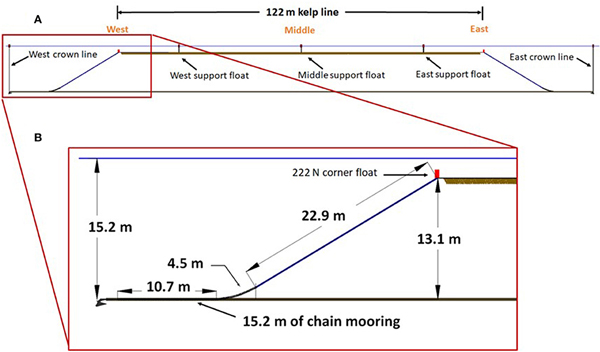 palangre de amarre de algas marinas