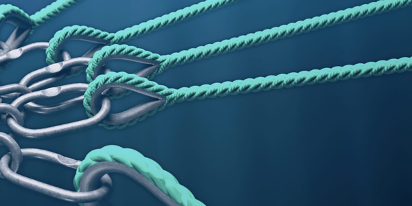 enlace maestro de amarre para acuicultura