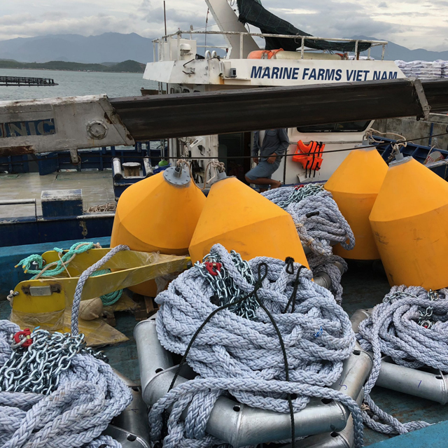 Sistema de amarre de jaulas para peces de acuicultura