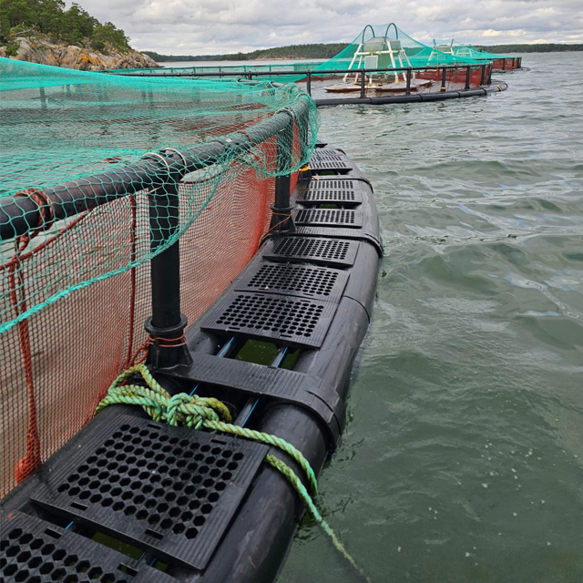 Jaulas para peces de acuicultura en mar abierto
