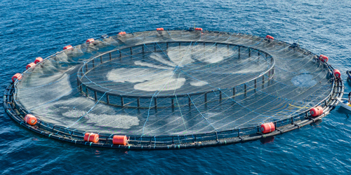 jaula flotante para peces