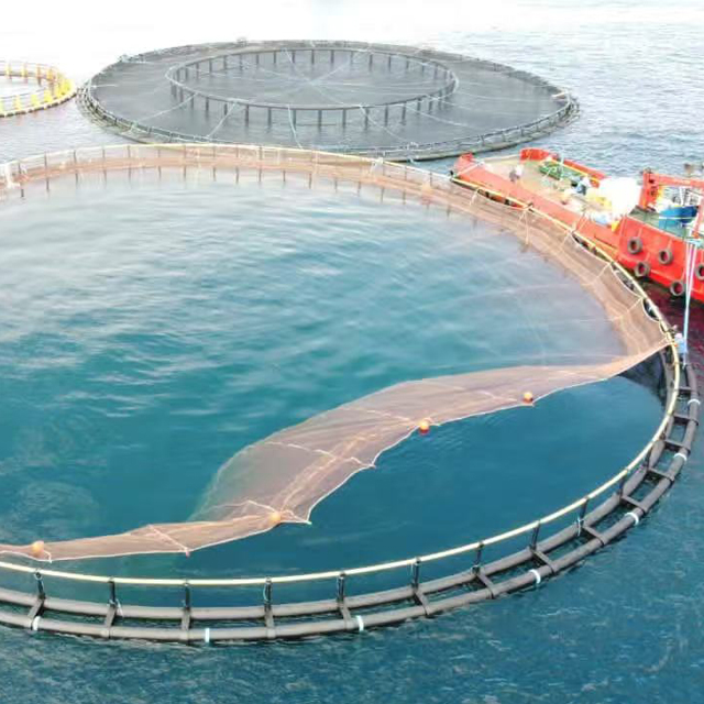 jaula flotante para peces