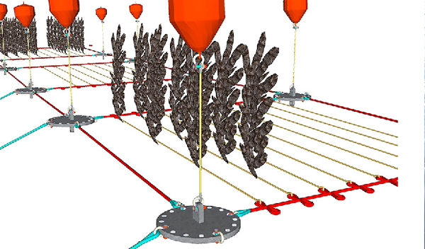 amarre para cultivo de algas