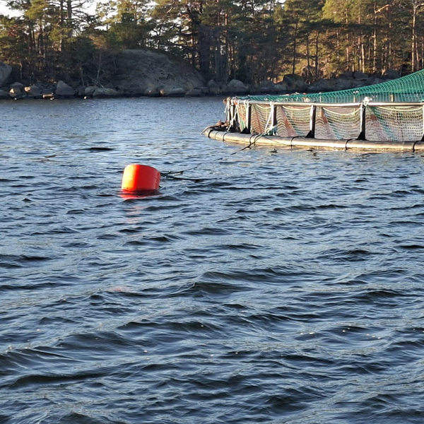 BOYA DE PE ESPUMADA EPS