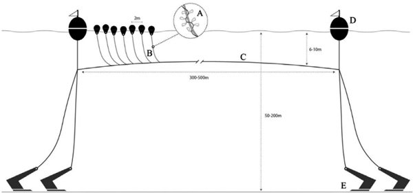 rejilla de amarre de algas