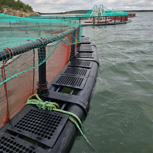 Soporte de orificios dobles de 315 mm para nuevas jaulas de plástico para piscifactorías