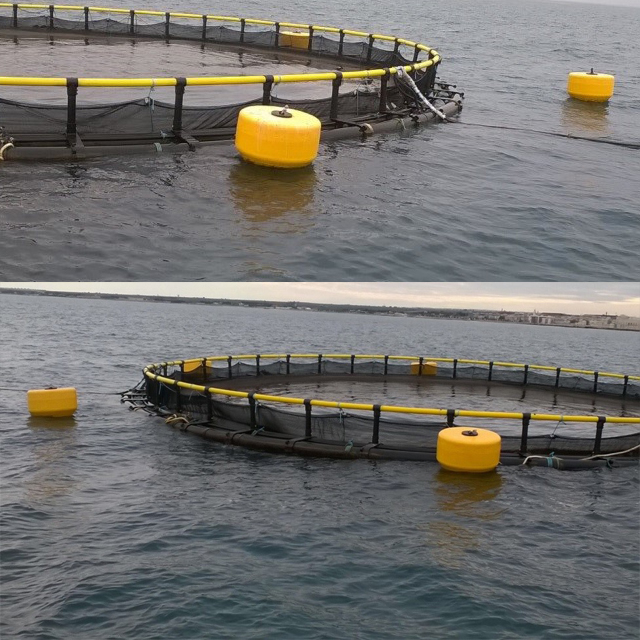 Boya de polietileno espumado EPS