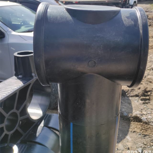 Accesorios para jaulas de peces